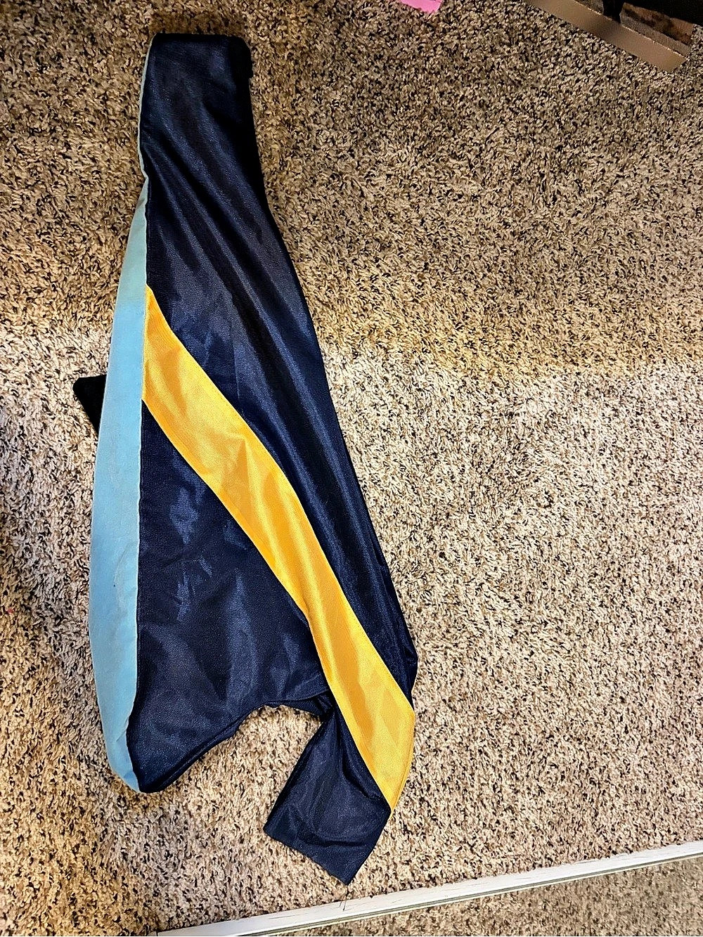 NAU masters stole